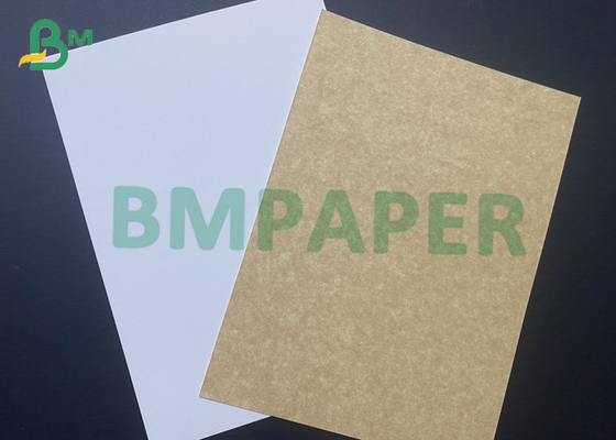 Papier pakowy powlekany o gramaturze 250 g / m2 C1S Jednostronnie biały Kraft jednostronny 889 x 650 mm