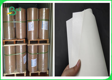 300gsm Ivory Board + 15g PE Coated Paper Z FSC I FDA Do Produkcji Lunch Box