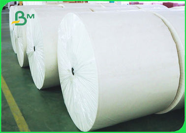 300 g / m2 + 18 g powlekany PE papier powlekany na jednorazową miskę Szerokość 500 mm 550 mm 600 mm