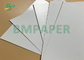 Papier powlekany PE na talerze papierowe 300 g / m2 + 18 g PE w rolce