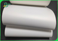 Wodoodporna, nierozrywalna rolka papieru syntetycznego o gramaturze 170 g/m2 powlekana termicznie