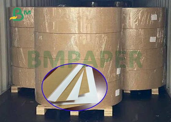 325gsm 31 "Wysoka odporność na rozdarcie Food Grade White Top Craft Cardboard na pudełko na lunch