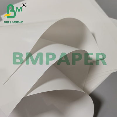 97 g 860 mm Szerokość Doskonała drukowanie Dobra absorpcja atramentu Papier etykietowy C1S