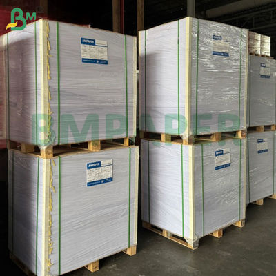 300 gm Super biały Bristol Board Niepowleczone Gładkie powierzchnie bez kwasu 19 x 24"