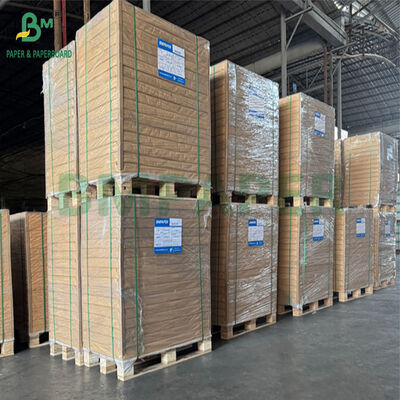 260 gm 270 gm PET powłoka Płyty klasy spożywczej dla misek papierowych 640 x 900 mm