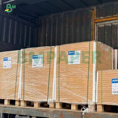 360g Dobry sztywność Brązowy CKB Karton żywnościowy W arkuszu