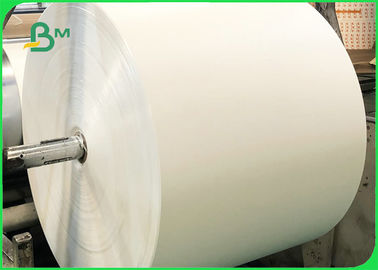 190 g / m2 210 g / m2 Papierowe rolki papieru do lodów W pełni nadające się do recyklingu 720 mm 880 mm