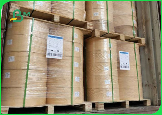 Papier pakowy kompostowalny 60 g / m2 120 g / m2 do słomy Bezpieczeństwo żywności 13,5 mm 14 mm 15 mm