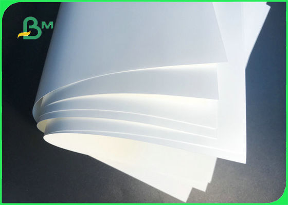 Papier syntetyczny PET i PP 100um 200um 250um Wodoodporny do drukowania etykiet