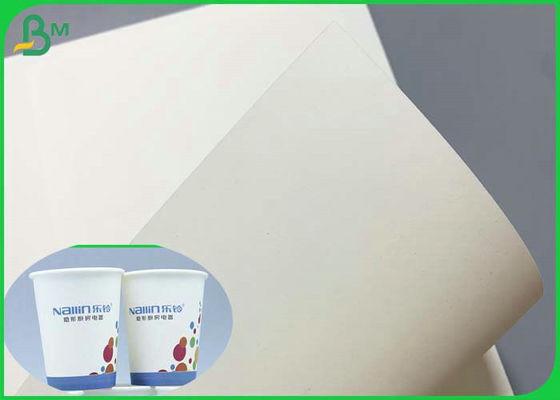 SGS Certyfikowany papier bazowy 230g 260g powlekany PE, rolka 850 mm