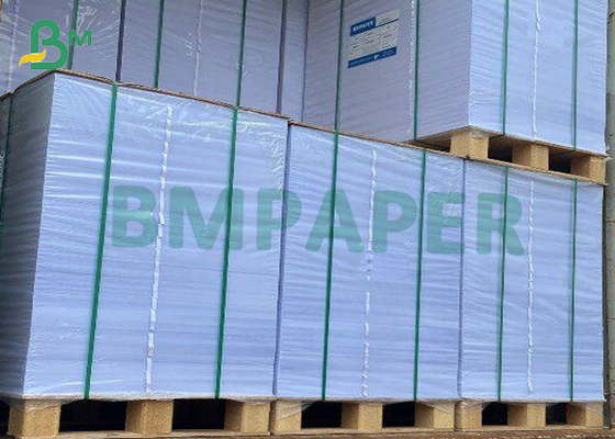 Papier fotograficzny o gramaturze 260 g / m2 610 mm X 432 mm Szybkie drukowanie atramentowe