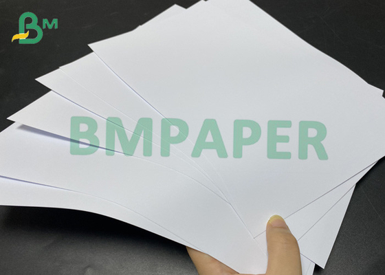 Papier fotograficzny o gramaturze 260 g / m2 610 mm X 432 mm Szybkie drukowanie atramentowe