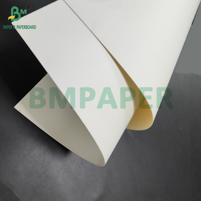 300 gm + 15 g PE powlekany papier klasy spożywczej do pojemników na obiad 700 x 1000 mm