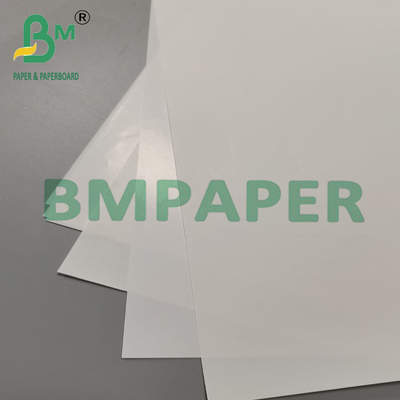 97 g 860 mm Szerokość Doskonała drukowanie Dobra absorpcja atramentu Papier etykietowy C1S