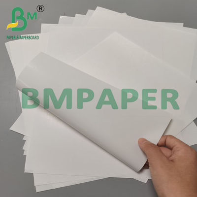 97 g 860 mm Szerokość Doskonała drukowanie Dobra absorpcja atramentu Papier etykietowy C1S