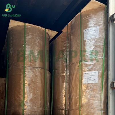 150gm do 320gm C1S PE powlekany kubek papier zapasowy karton do miski KFC 1020mm
