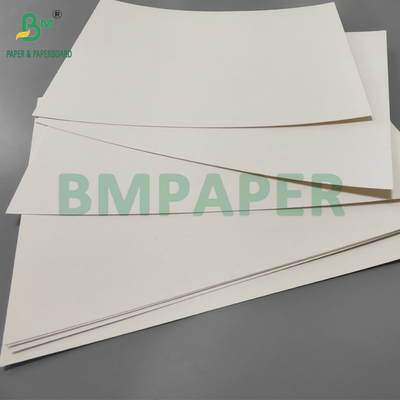190gm + 15g PE P1S Puchar Papier Gloss Do Kawiarni wodoodporny 720mm 880mm