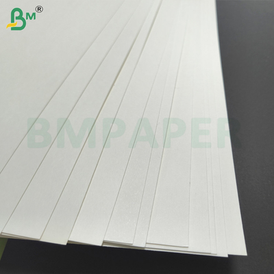 Papier do kubków powlekany PE 1 PE 2 PE Papier do kubków