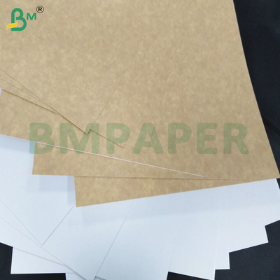 200-360 GSM Płytka papieru kraft powlekany z jednej strony odporny na zamarzanie