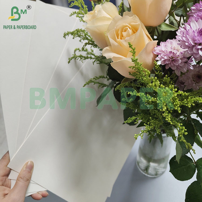 190 gm 320 gm+15 gPE powlekany papier jednorazowy na gorące kubki do kawy