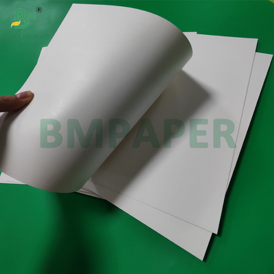 300 gm +15 g PE powlekany papierowy kubek Stowarzyszenie dla gorących napojów 820mm 880mm