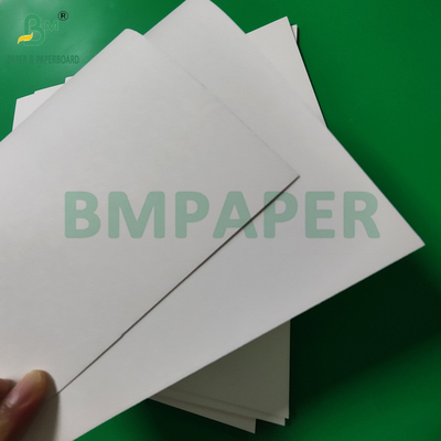 300 gm +15 g PE powlekany papierowy kubek Stowarzyszenie dla gorących napojów 820mm 880mm