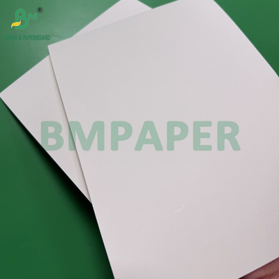 240g + 18g PE powlekany kubek papier zestaw Matte Finish One Side Custom Roll szerokość 430mm - 2100mm