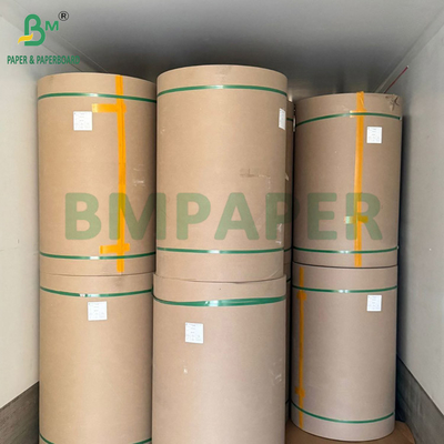 240g + 18g PE powlekany kubek papier zestaw Matte Finish One Side Custom Roll szerokość 430mm - 2100mm