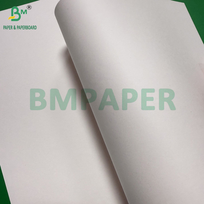 240g + 18g PE powlekany kubek papier zestaw Matte Finish One Side Custom Roll szerokość 430mm - 2100mm