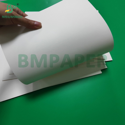 Wodoszczelny PET Laminated 300gsm Biały Karton Do Pudełka Śniadania Recykling