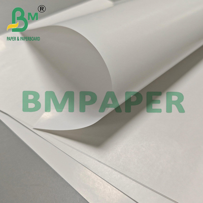 70g Gładka powierzchnia Żywność Jedna strona Glossy Label Paper 86cm szerokość
