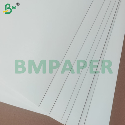 Rolki papieru do produkcji kubków i misek, powlekane PE 190+10gsm
