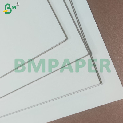 Rolki papieru do produkcji kubków i misek, powlekane PE 190+10gsm