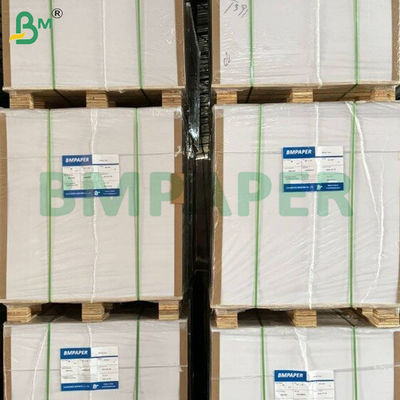 200 gm+10 gm Wstrzymałe na ciepło PE powlekane papiery z kubkami