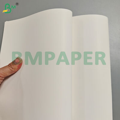 190gsm+10gsm powlekana biała tektura spożywcza do pakowania żywności zimnej