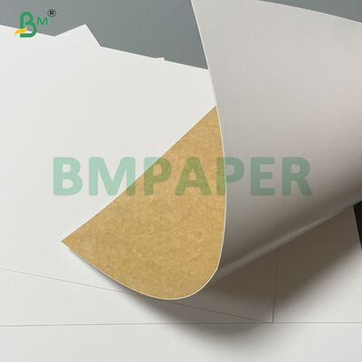 360g Food Grade Clay Coated Recycled Paperboard CCKB do przewożenia napojów w zimnym magazynie