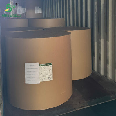 18PT 24PT PE powlekany karton papierowy CCNB do opakowań mrożonych produktów spożywczych