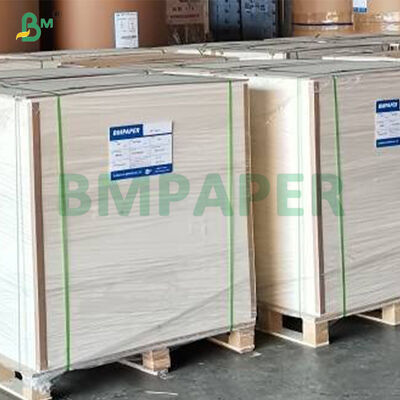 315g + 15g  Coated White Food Grade PET Paperboard For Food Plate 
