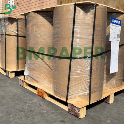 Pieczarnia do ciastka Pergament 21gm Biały i kolorowy Półprzezroczystość