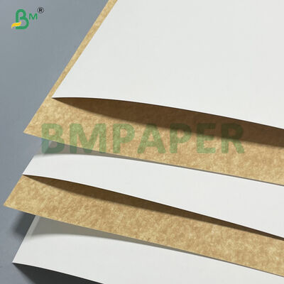 100% czystej pulpy drzewnej 280 g/m² 300 g/m² biały powlekany papier kraftowy do pojemników na żywność