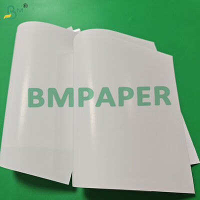 210gsm C1S One Side Coated Paper For Tobacco Packaging 30.75'' x 24.75''