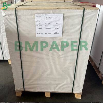 Excellent Burst Strength 200gsm White Kraft Paper For Bags & Cartons