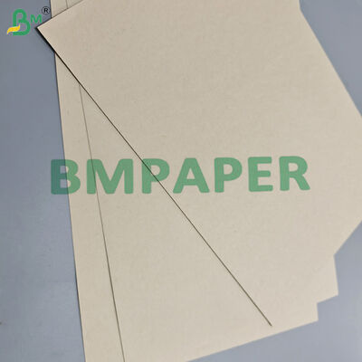 200g 300g Sugarcane Bagasse Paper For Food Plates Renewable Fiber Pulp 900mm