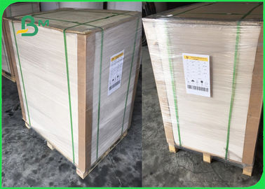 Papier offsetowy o temperaturze zamkniętej 80 gm + 15 gm PE pokryty białym papierem offsetowym
