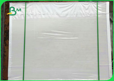 300 gm Biały PE powlekany płytka z kości słoniowej do tworzenia pudełka żywności 50 * 70cm