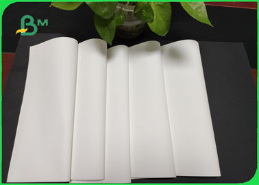 Papier kamienny wodoodporny do łzy w 60gm - 600gm dla notatek i kalendarza