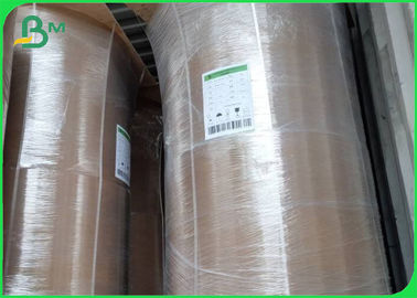 Ekologiczne rolki z bambusowego papieru kraft 50GSM - 250GSM