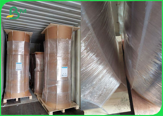 Roll Brown Kraft Paper PE powlekany z jednej strony 80gm