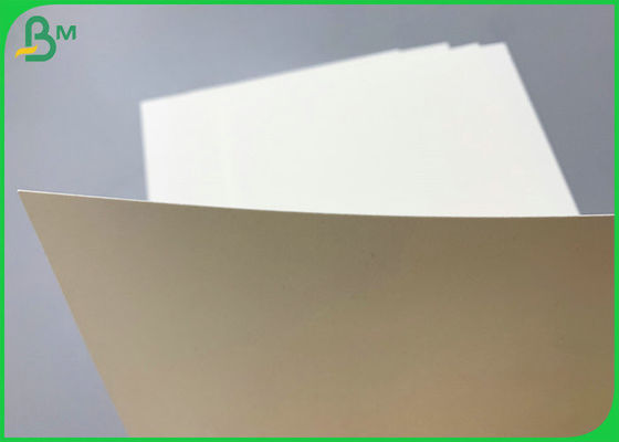 SGS Certyfikowany papier bazowy 230g 260g powlekany PE, rolka 850 mm