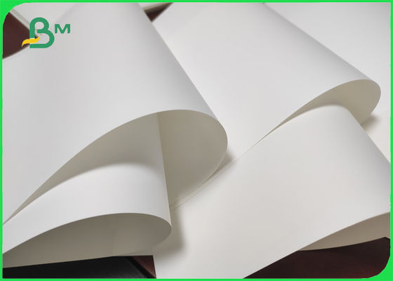 100% Tree - bezpłatny Papier syntetyczny nadający się do recyklingu do etykiet etykiet